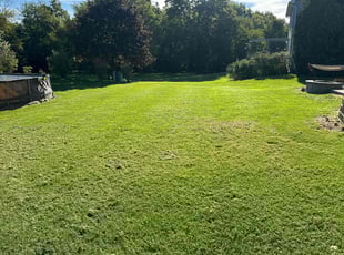 Jody L.'s turf maintenance service result