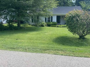 Urmela F.'s turf care service result