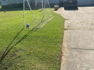 Jennifer E.'s grass cutting service result