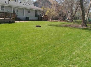 Rosaire D.'s lawn care service result