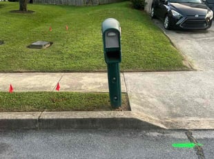 Lourdes C.'s lawn care service result