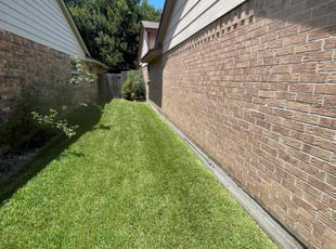Lydia S.'s turf care service result