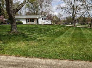 Chad S.'s turf maintenance service result