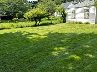 Edward R.'s grass maintenance service result