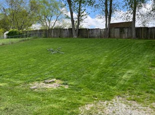 Gene S.'s lawn care service result