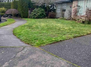 Gia S.'s lawn care services service result