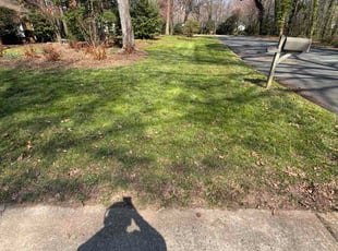 Bill U.'s lawn service service result