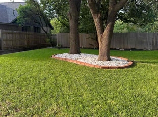 Jeremy T.'s turf care service result