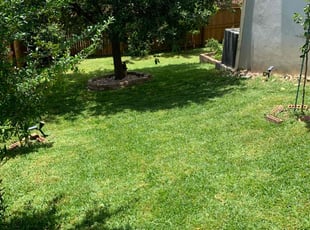 Keisha H.'s turf care service result