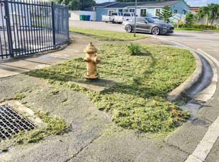 Kate L.'s grass maintenance service result