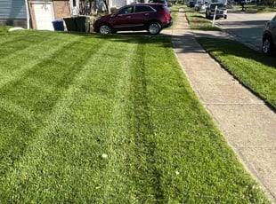 Marcus H.'s turf maintenance service result