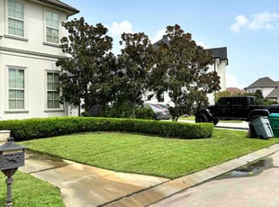 Richard B.'s lawn service service result