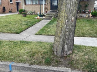 William C.'s lawn care services service result