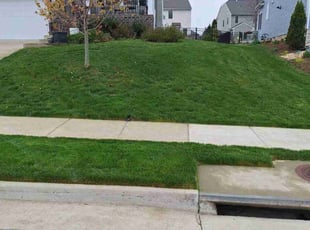 William I.'s turf care service result