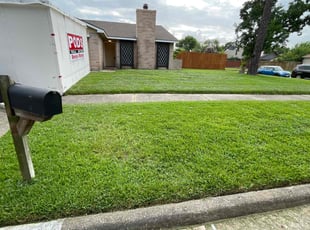 Nicole B.'s grass cutting service result