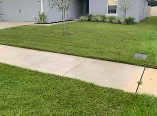 Luis S.'s lawn service service result