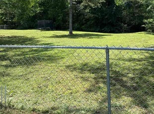 Renata S.'s landscaping services service result