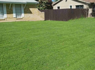Luke D.'s lawn care services service result