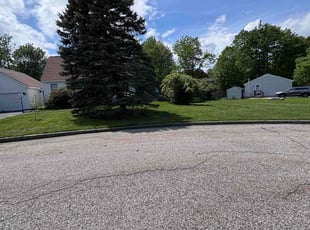 Latasha J.'s lawn maintenance service result