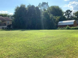 Tyler T.'s lawn maintenance service result