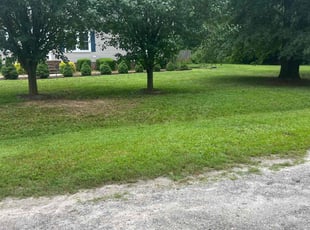 Jordan B.'s turf care service result