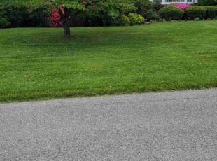 Jorge S.'s lawn service service result
