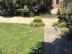 Robert T.'s Flower Bed Weeding service result