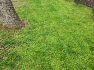 Robin L.'s lawn care services service result