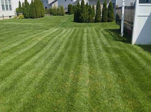 Gwen R.'s turf care service result