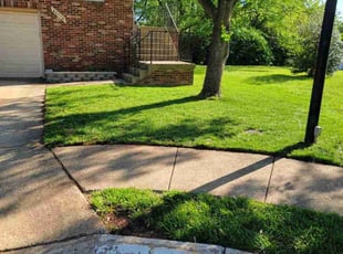 Denise M.'s grass cutting service result
