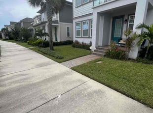 Sara P.'s grass cutting service result