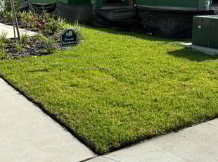 Janet G.'s grass maintenance service result