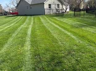 Carl F.'s lawn maintenance service result