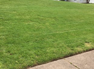 Ed G.'s lawn maintenance service result
