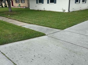 Dietmar L.'s lawn maintenance service result