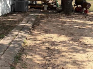 Vikki H.'s Leaf Removal service result