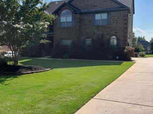Martha C.'s grass maintenance service result
