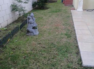 Douglas L.'s lawn care services service result