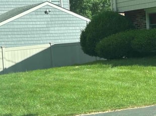 Patricia P.'s grass maintenance service result