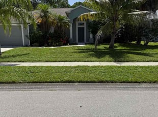 Adrian E.'s grass cutting service result