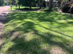 Logan E.'s lawn care service result