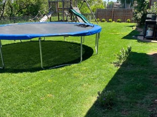 Kathleen S.'s grass cutting service result