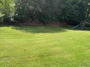 Wanda R.'s turf care service result