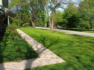 Joe A.'s lawn service service result