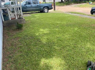 Tatiana W.'s lawn maintenance service result