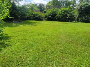 Ed B.'s turf maintenance service result