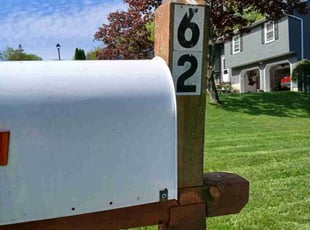 Matt S.'s turf care service result