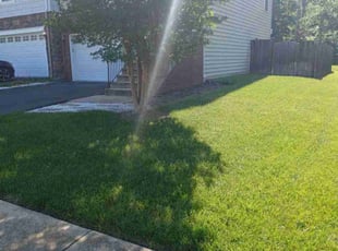 Jill K.'s lawn care service result