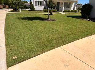 Simone R.'s lawn care services service result