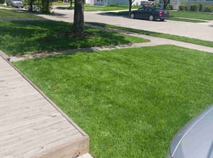 Billy L.'s lawn care services service result